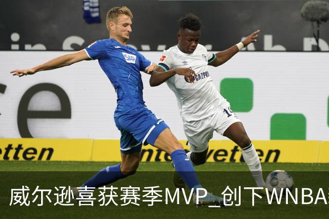 威尔逊喜获赛季MVP 创下WNBA新纪录